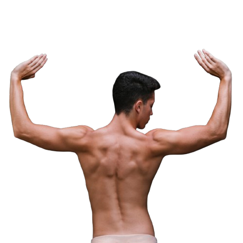 torso